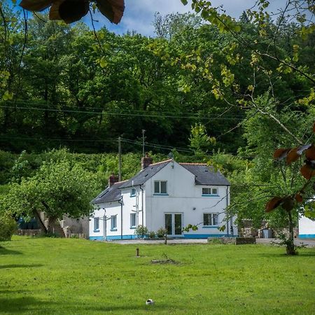 Tucking Mill - 3 Bedroom Holiday Home - Stepaside Stepaside  Exteriör bild