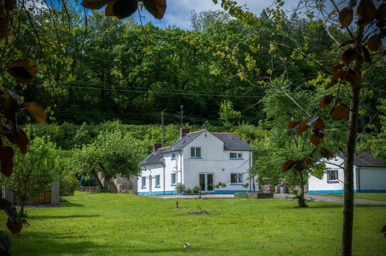 Tucking Mill - 3 Bedroom Holiday Home - Stepaside Stepaside  Exteriör bild